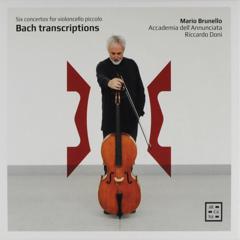Six concertos for violoncello piccolo : Bach transcriptions