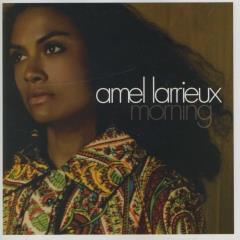 amel larrieux