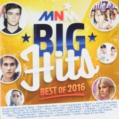 Cataract enthousiasme vorm MNM big hits : Best of 2016 - Muziekweb