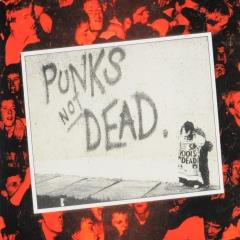 Punks not dead прохождение