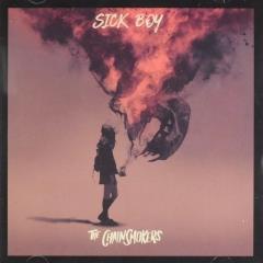 Sick Boy The Chainsmokers Muziekweb - sick boy roblox id chainsmokers