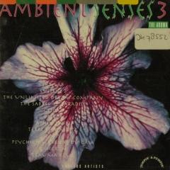 Ambient senses : the aroma ; vol.3 - Muziekweb