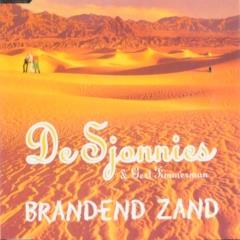 Brandend zand [cd-single] - De Sjonnies - Muziekweb