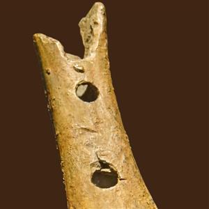 Curiosa klassiek: Prehistorische muziek